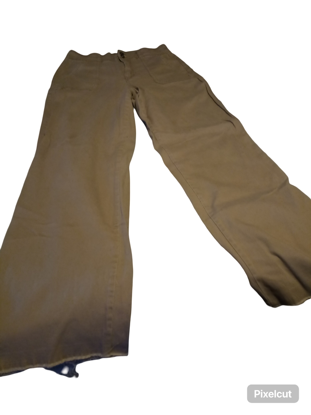 Women Pant Size 13/31 Brand RE Generation